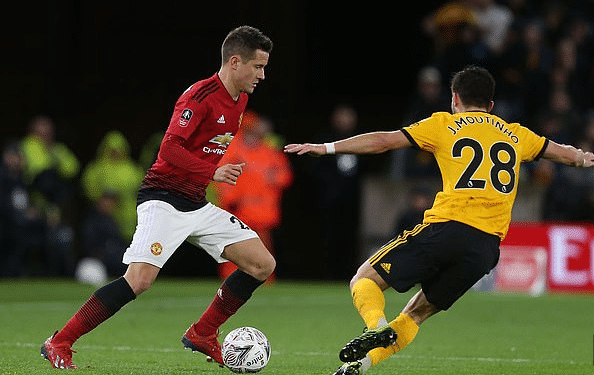 被广泛看好 被广泛看好