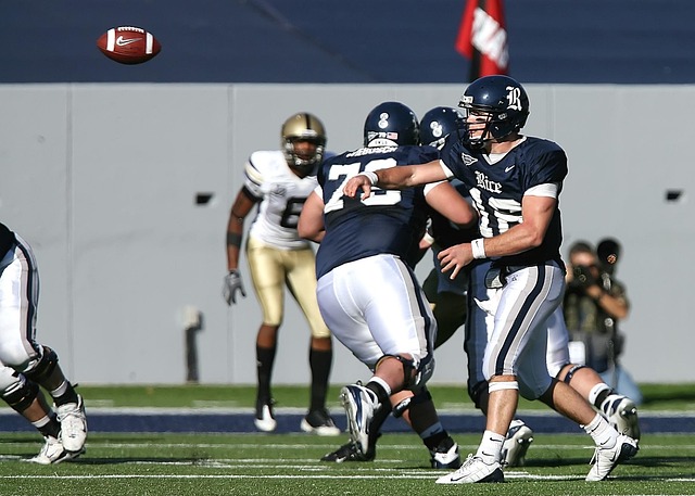 的全面实施 的全面实施