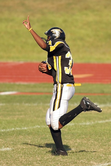 领域的合作 领域的合作